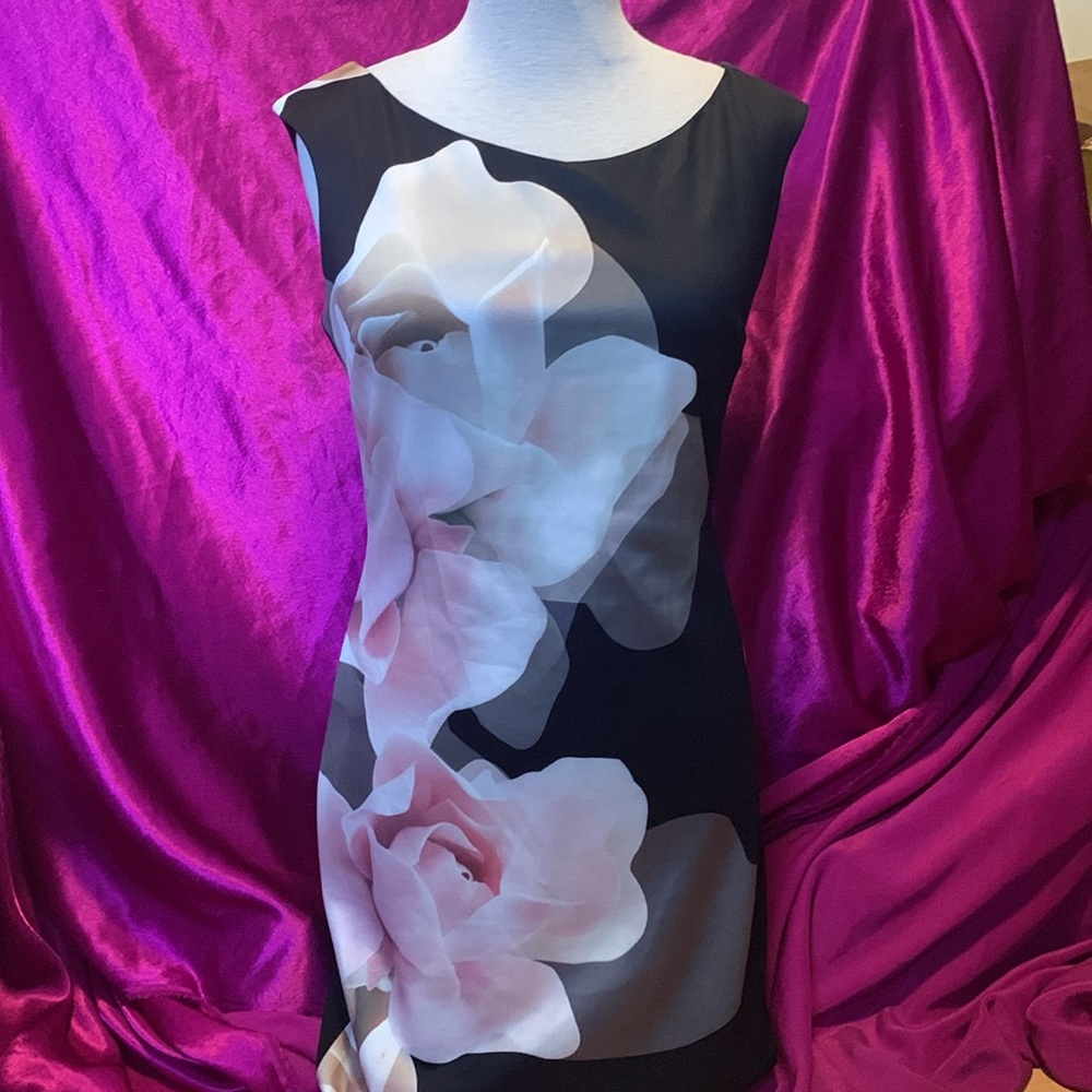 Teaberry pencil dress size 10 black with pink and white roses. Like new.…